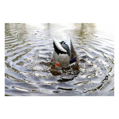 MOJO BUTT UP MALLARD RIPPLER