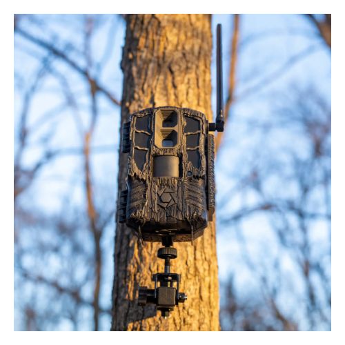 STEALTH CAM TRAIL CAM