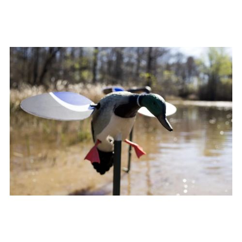 MOJO BABY MOJO DRAKE DECOY!