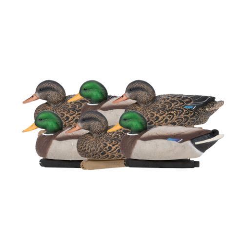 ZINK FLOATER DECOYS MALLARD