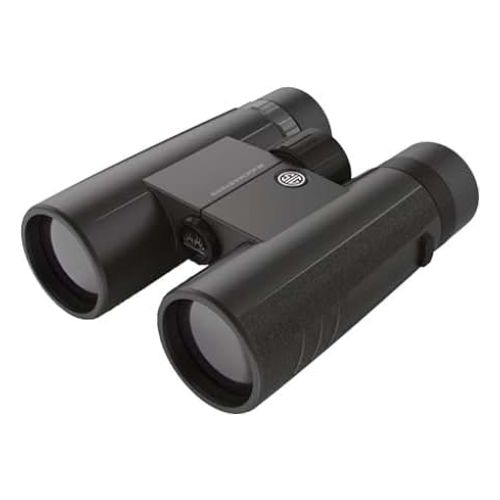 SIG BINOCULAR 10X42