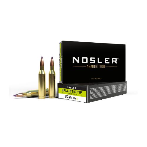 NOSLER 243 WIN 90GR BALLISTIC