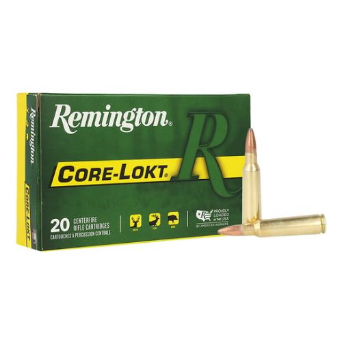 REMINGTON 250 SAVAGE 100GR