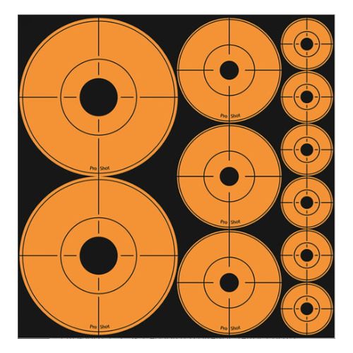 SPLATTER SHOT TARGET ASSORTED