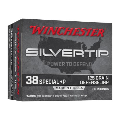 WINCHESTER SILVERTIP 38