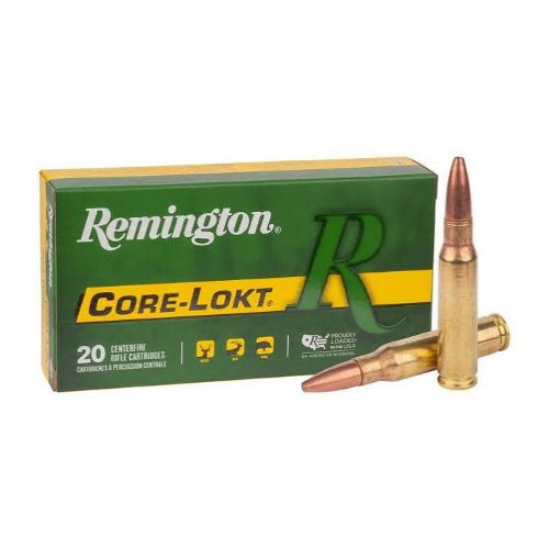 REMINGTON 308 WIN 180GR
