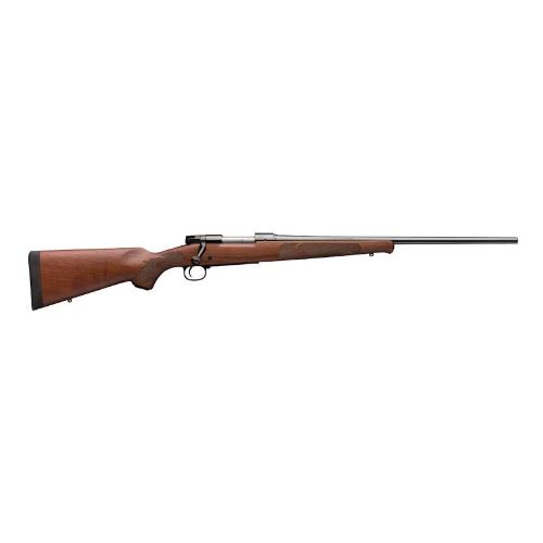 WINCHESTER MODEL 70 22-250