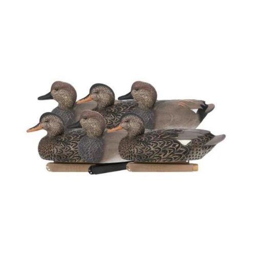 ZINK FLOATER DECOYS GADWALL