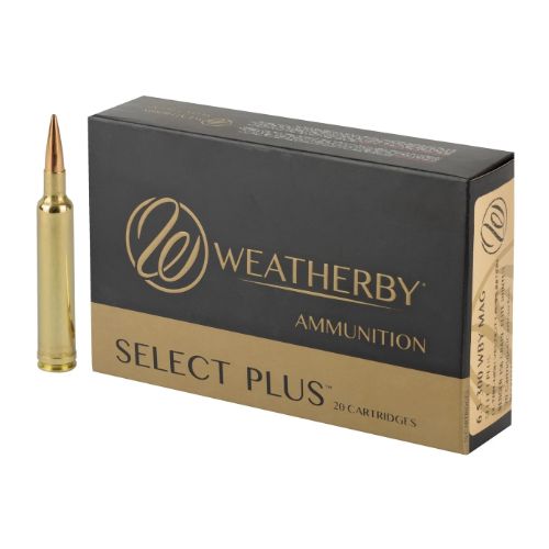 WEATHERBY AMMO 6.5-300 WBY