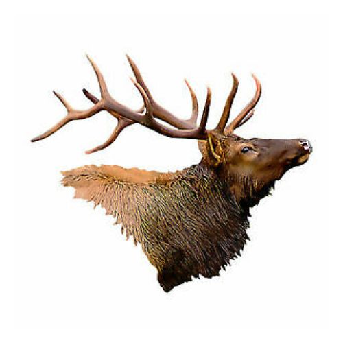 RMHC ELK DIAPHRAGM RAPTOR