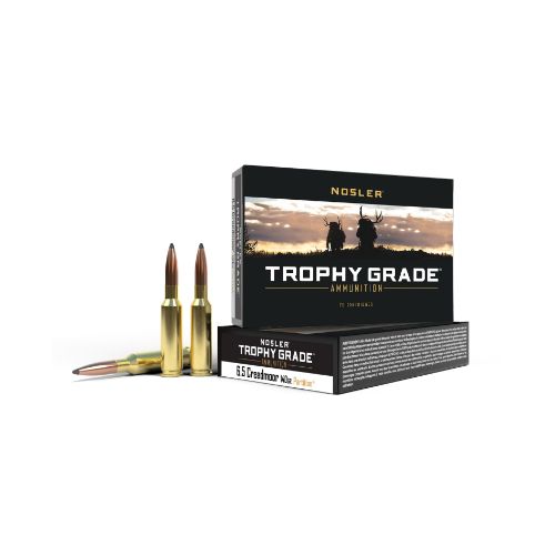 NOSLER TROPHY GRADE 6.5 CM