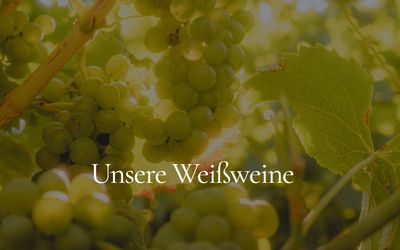 Weißweine