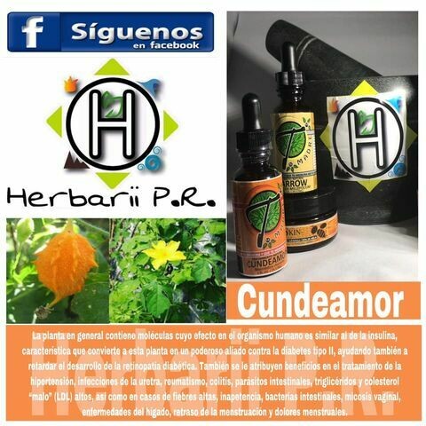 Cundeamor (Ocimum tenuiflorum)  1 FL. Oz.