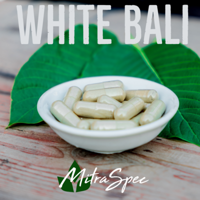 White Bali Kratom Powder - 50 grams
