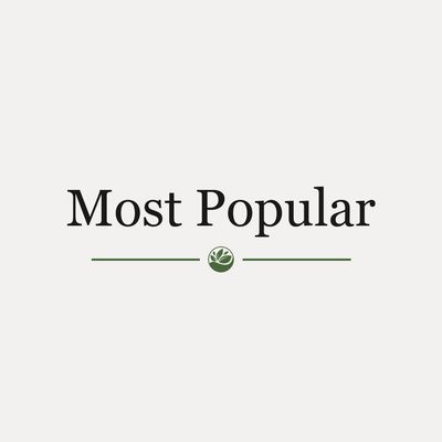 Most Popular