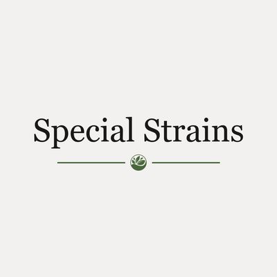 Special Strains