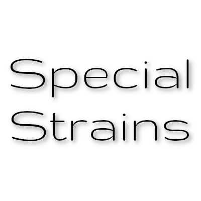 Special Strains