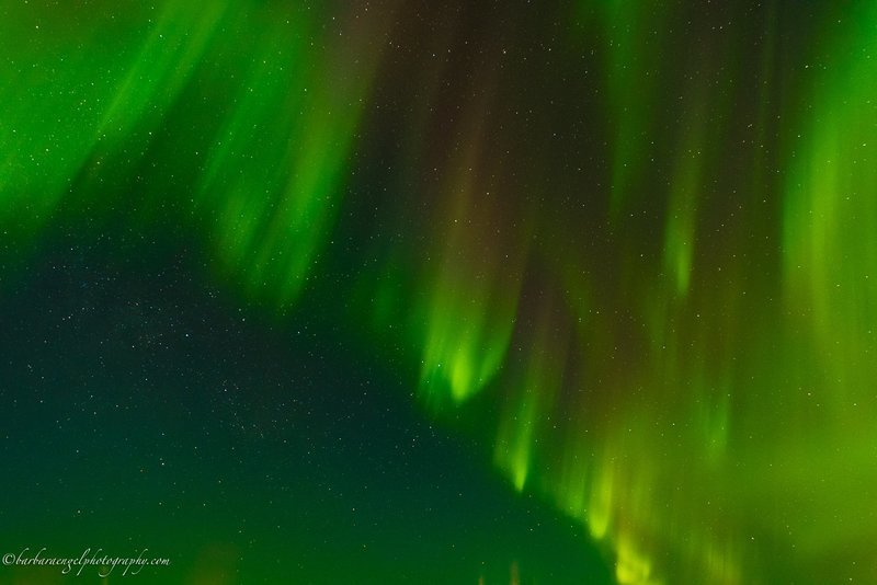The Northern Lights