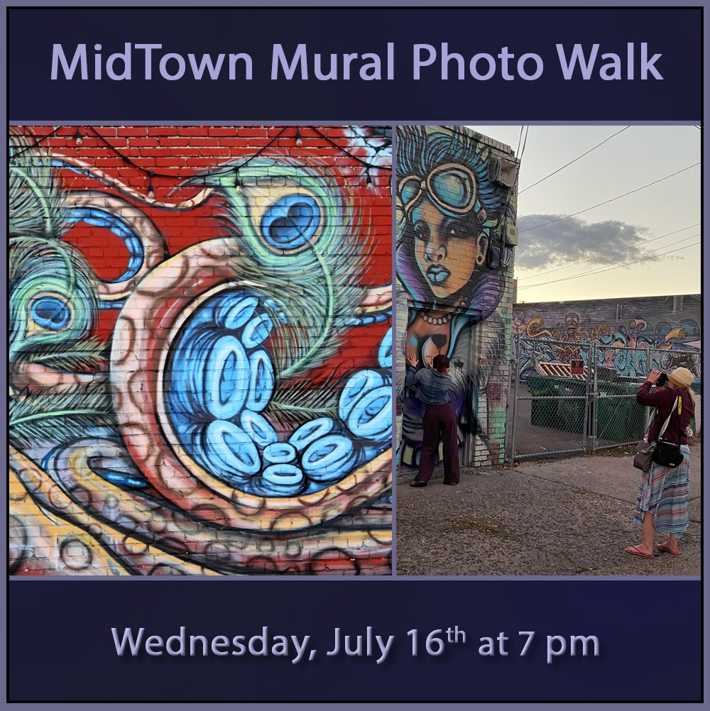 MidTown Mural Photo Walk