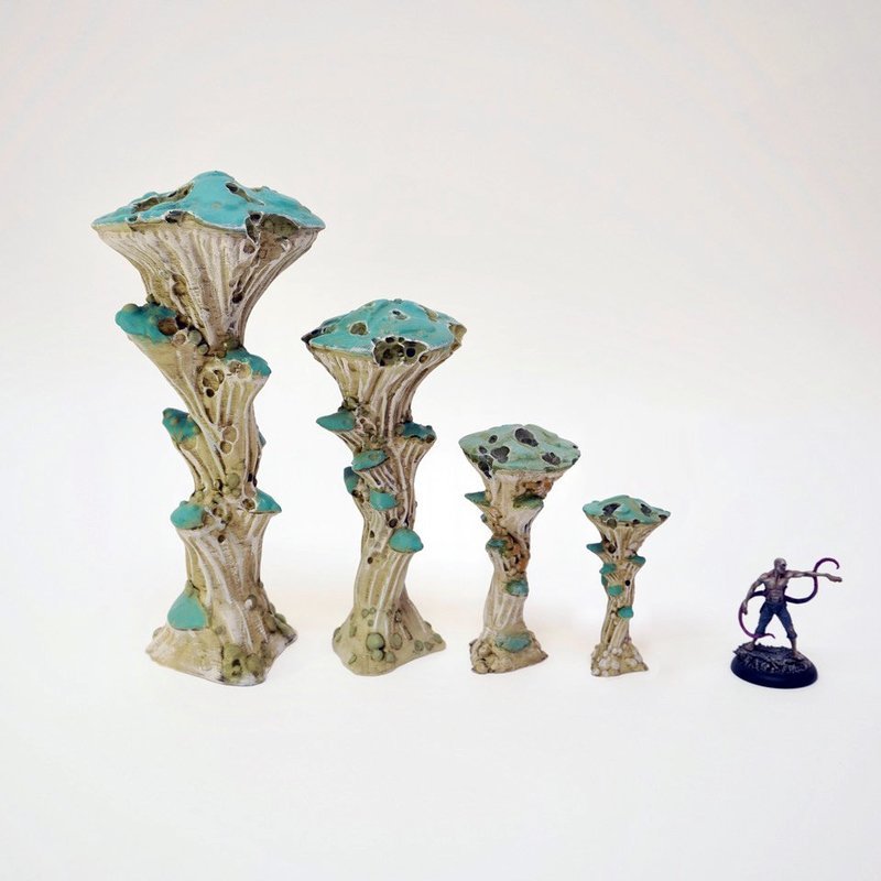 Tall Rot Fungi Group