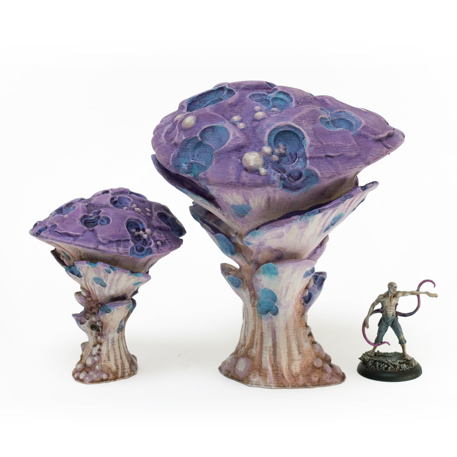 Doomcap Rot Gillshroom, Set of Two