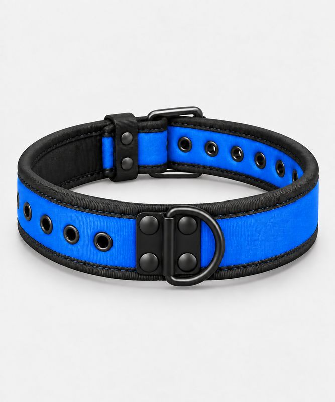 NEOPRENE PUPPY COLLAR