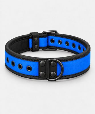 NEOPRENE PUPPY COLLAR
