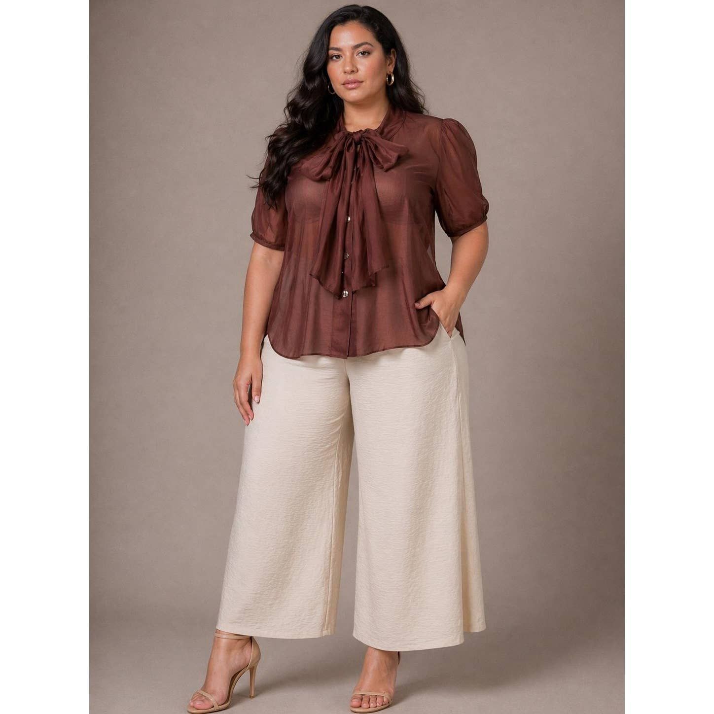 SHEER GRACE TIE BLOUSE, Color: BROWN, Size: 1X
