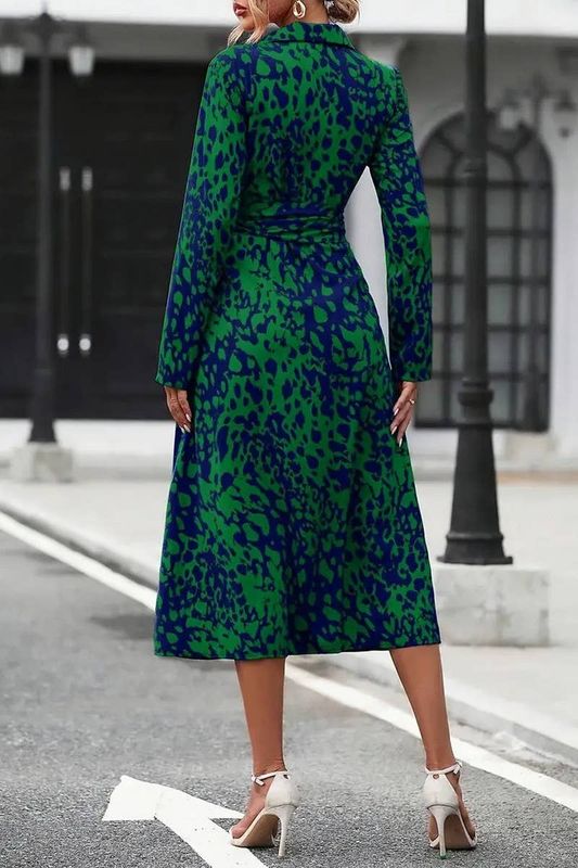 BUTTON LONG SLEEVE WAIST A-LINE DRESS