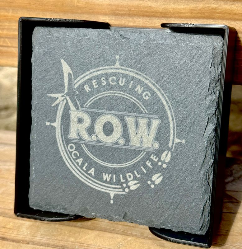 ROW Slate Coaster Set (4)