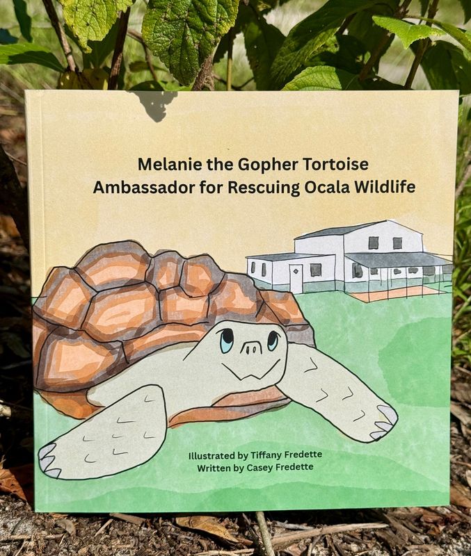 Melanie the Gopher Tortoise Paperback Book