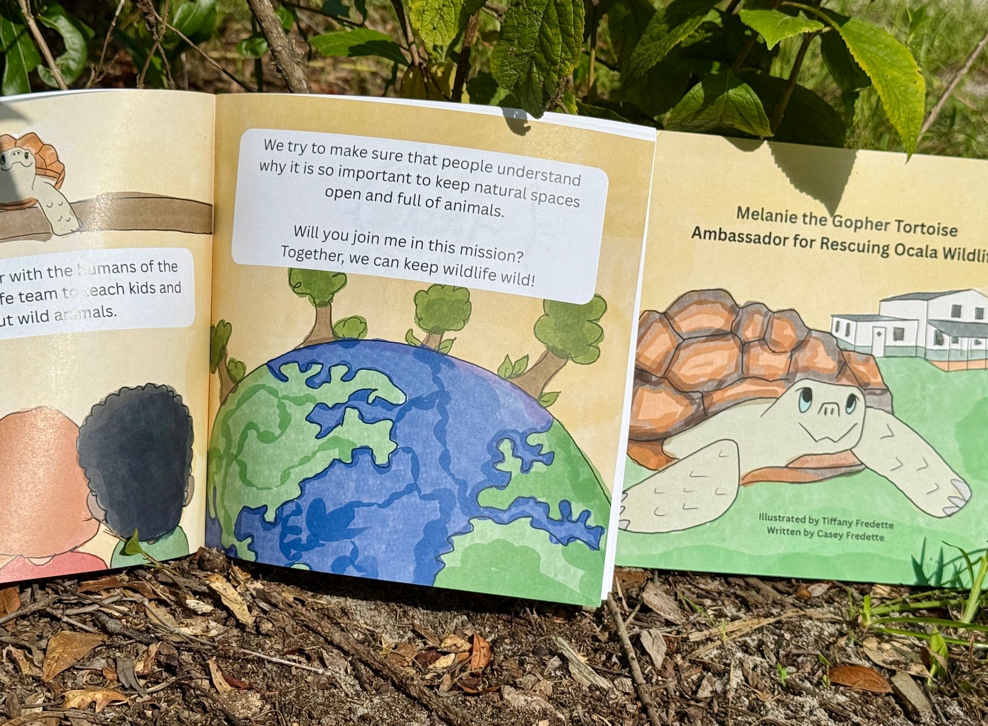 Melanie the Gopher Tortoise Paperback Book