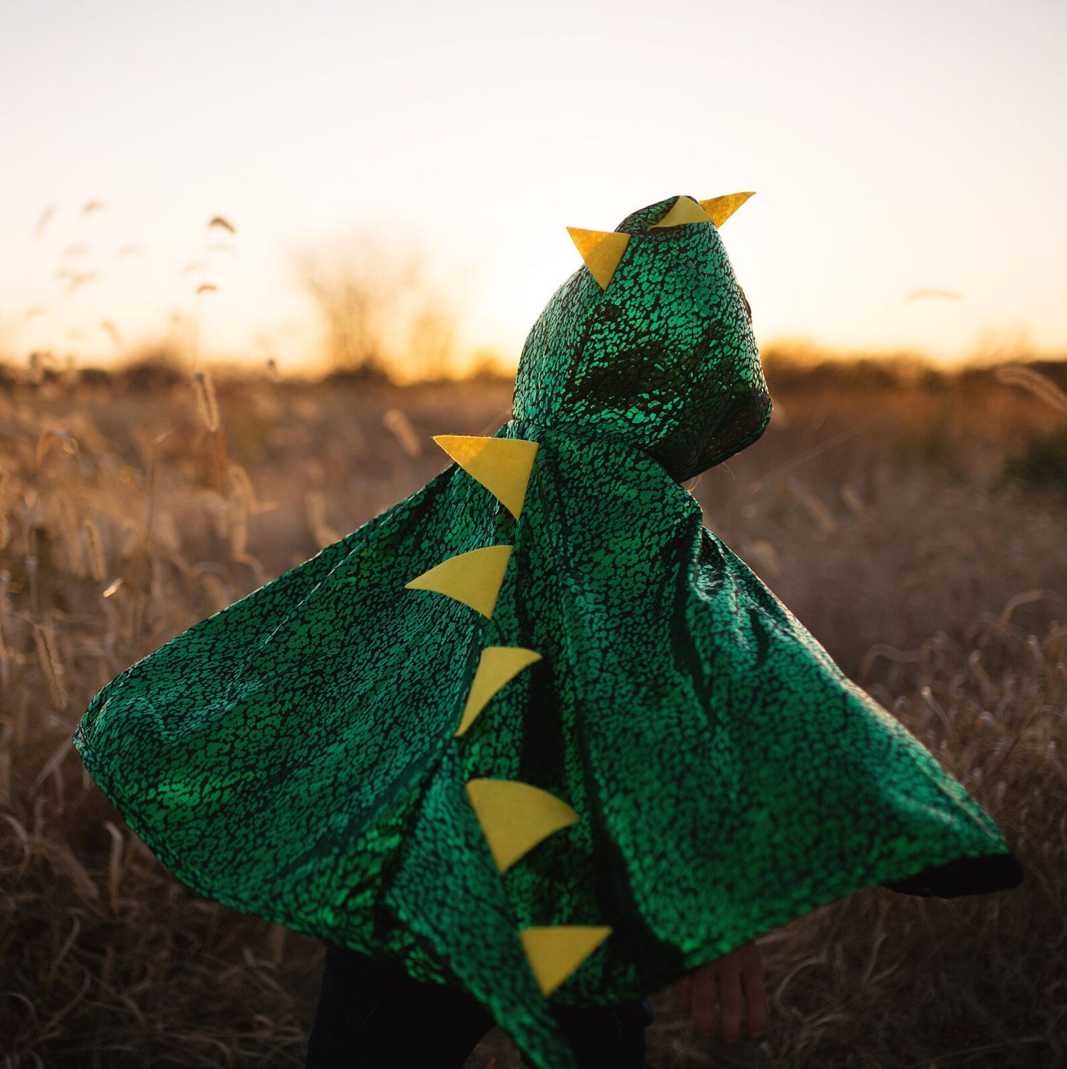 Dragon Toddler Cape, Green/Metallic, Size 2-3T