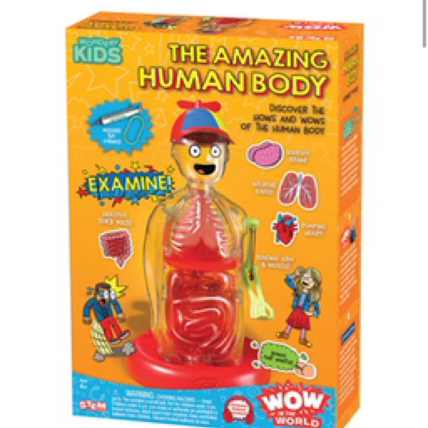 Wow in the World: The Amazing Human Body