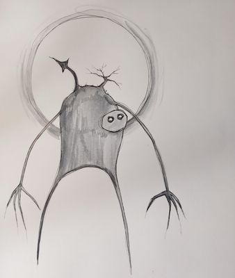The Wanderer