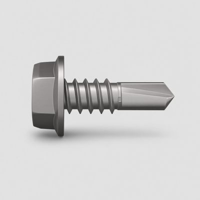 Screws (100 pcs)