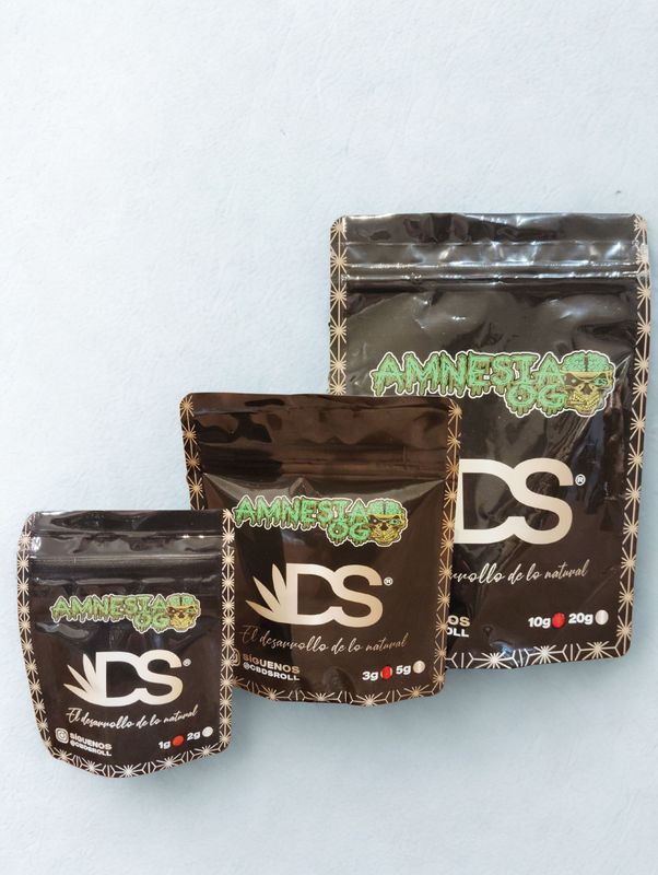 AMNESIA OG INDOOR 5 AMNESIA OG INDOOR 5