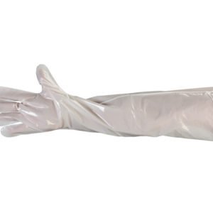 White 1.5 Mil 34 White 1.5 Mil 34", LD, Smooth Shoulder Length Polyethylene Glove, Case of 1,000 Gloves