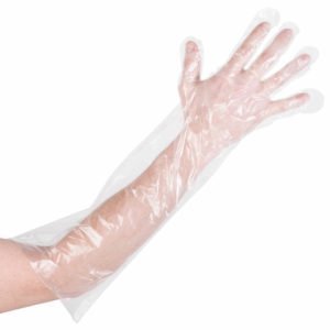 1.1 Mil Disposable Polyethylene 22 Inch Glove, Case Of 2,000 Gloves 1.1 Mil Disposable Polyethylene 22 Inch Glove, Case Of 2,000 Gloves