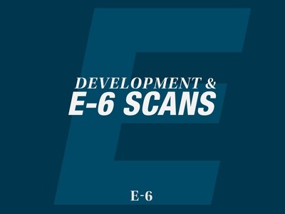 E6 Scans