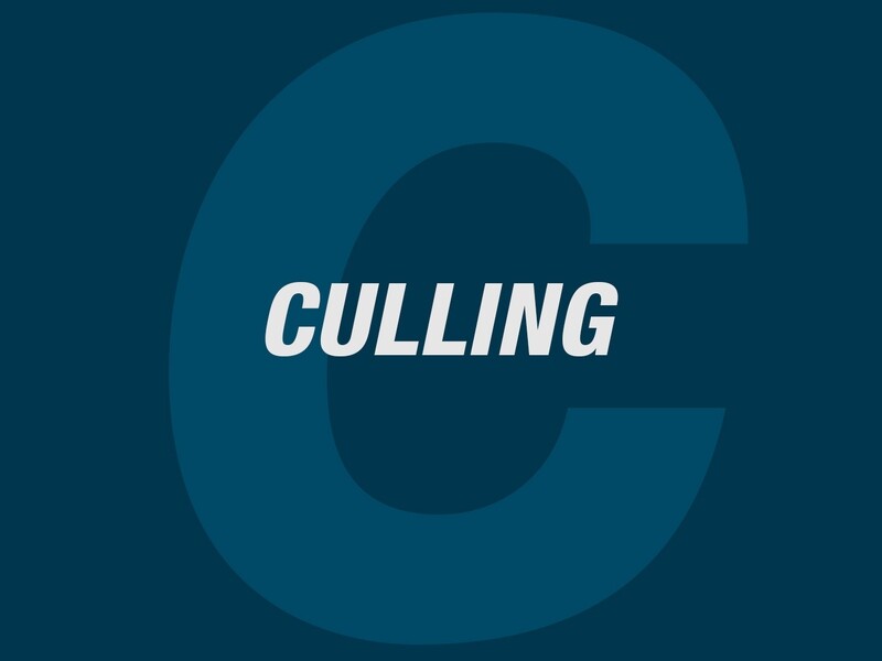 CULLING - Digital Files