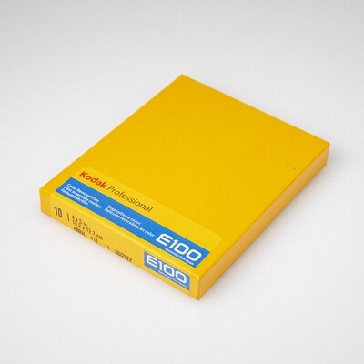 Kodak Ektachrome 4x5 [10 Sheets]