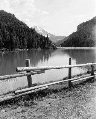 Kentmere Pan 200 B&amp;W