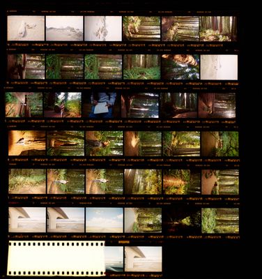 Contact Sheets