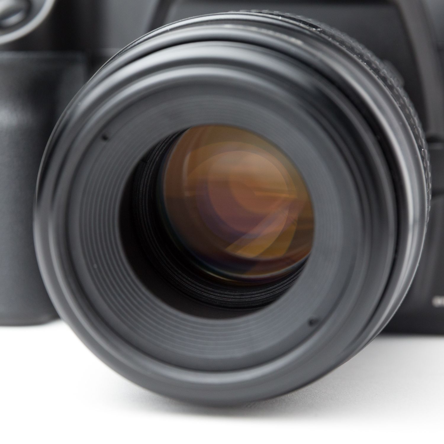 Canon EOS 3 w/ EF 100mm f/2.8 Macro Lens