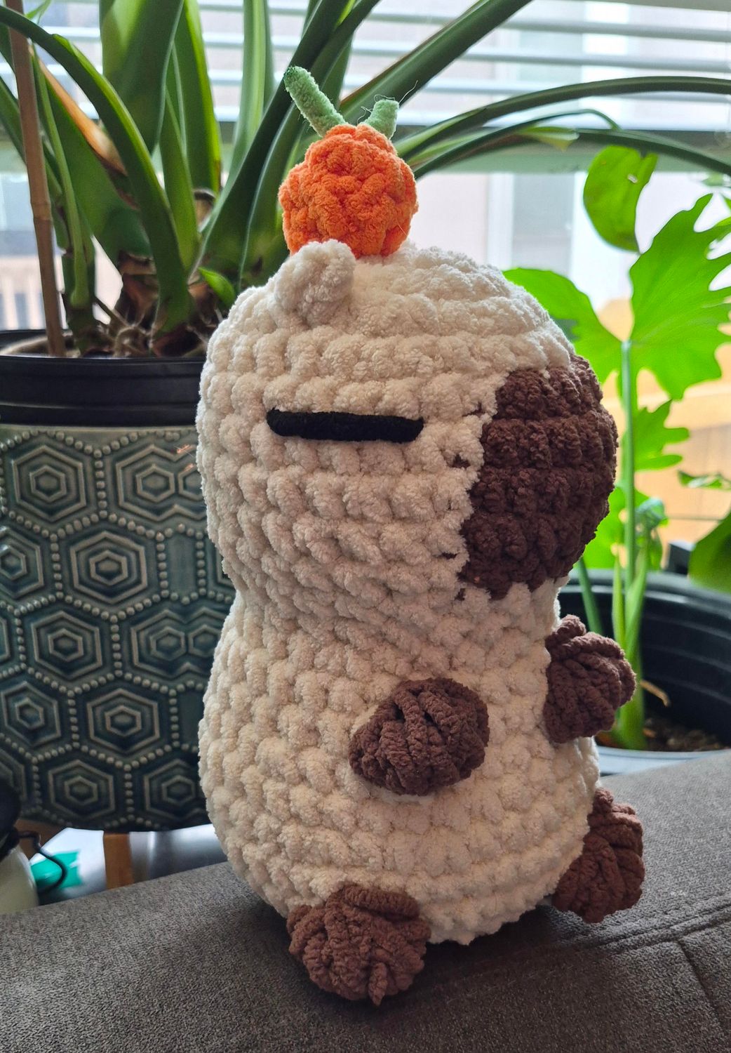 Capybara