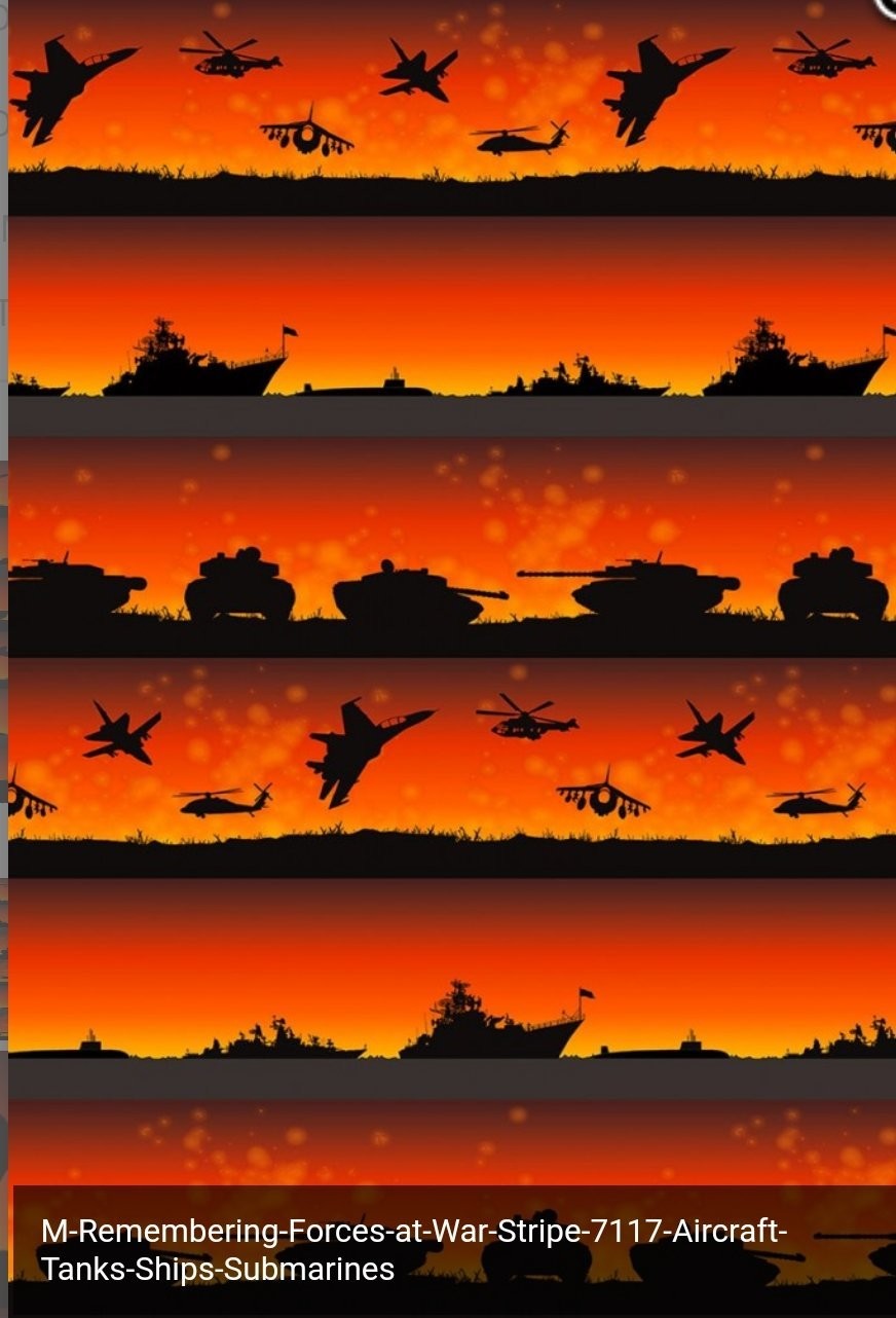 Remembering Stripe Forces at War