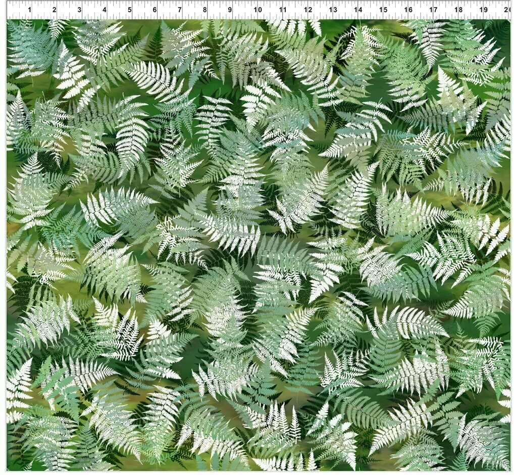 Terrarium Ferns