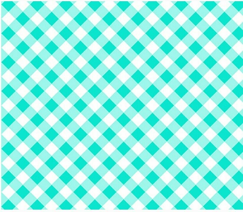 Retro Road Trip Gingham Aqua