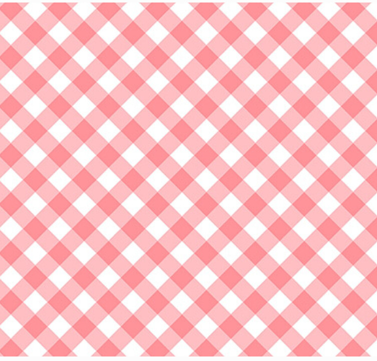 Retro Road Trip Gingham Pink